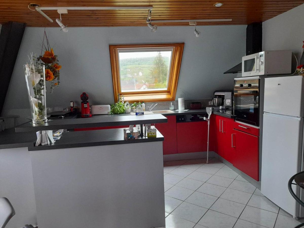 Gite Le Jardin De Hermolsheim. Alsace Tres Spacieux Mutzig Ngoại thất bức ảnh