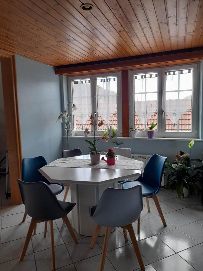 Gite Le Jardin De Hermolsheim. Alsace Tres Spacieux Mutzig Ngoại thất bức ảnh