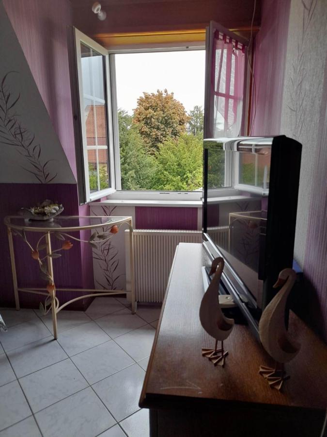Gite Le Jardin De Hermolsheim. Alsace Tres Spacieux Mutzig Ngoại thất bức ảnh