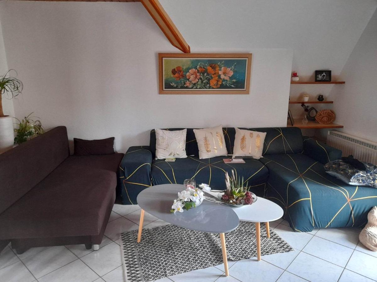 Gite Le Jardin De Hermolsheim. Alsace Tres Spacieux Mutzig Ngoại thất bức ảnh